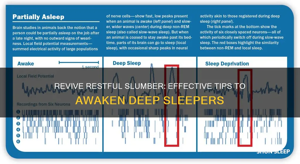 how to wake up someone from a deep sleep