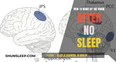 Revive Your Mind: Strategies to Jump-Start Your Brain After Sleepless Nights