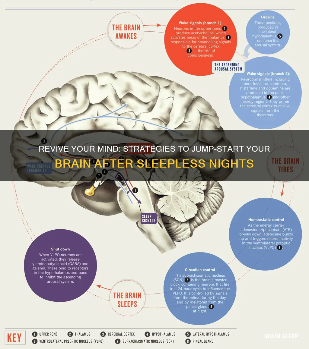 how to wake up the brain after no sleep