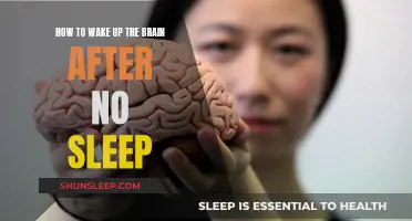 Revitalizing Your Brain After a Sleepless Night