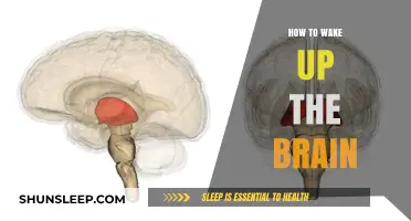 Awaken Your Mind: Strategies to Boost Morning Brain Power