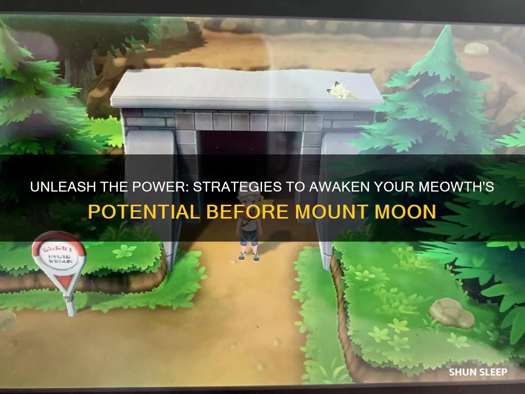 how to wake up the sleeping meowth before mount moon