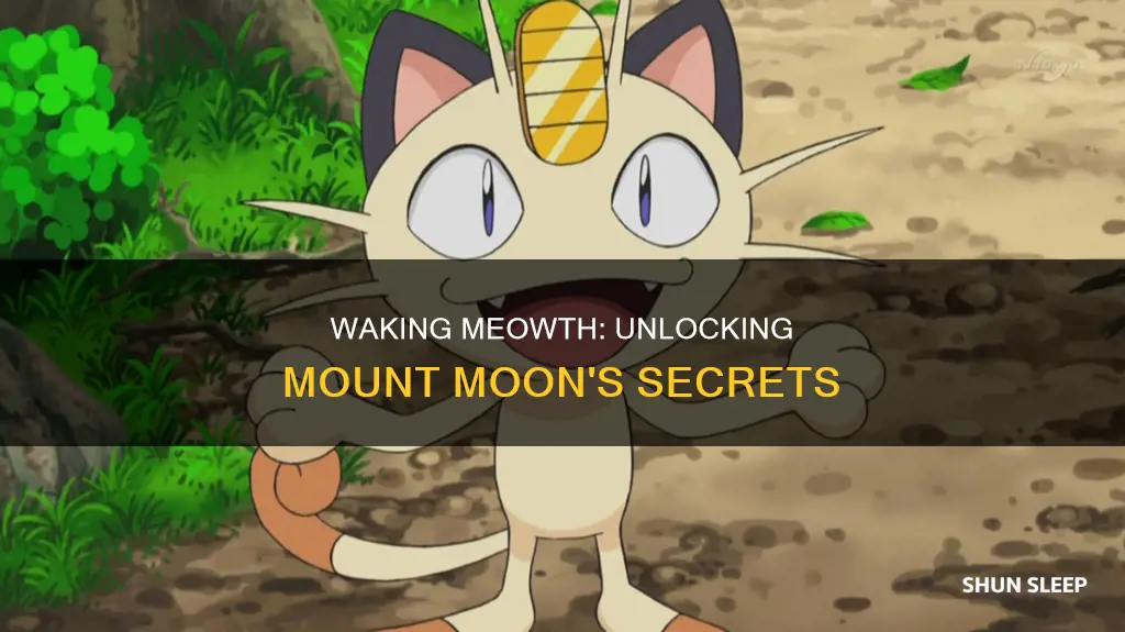 how to wake up the sleeping meowth before mount moon