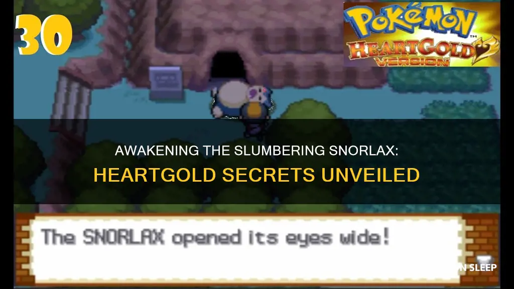 how to wake up the sleeping snorlax in heartgold