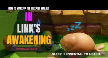 Unleash the Walrus: Link's Awakening Secrets Revealed