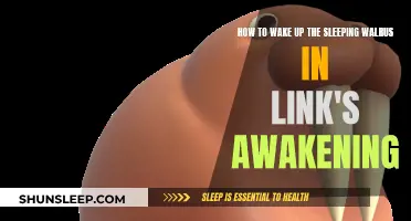 Waking the Walrus: Link's Awakening Strategy Guide