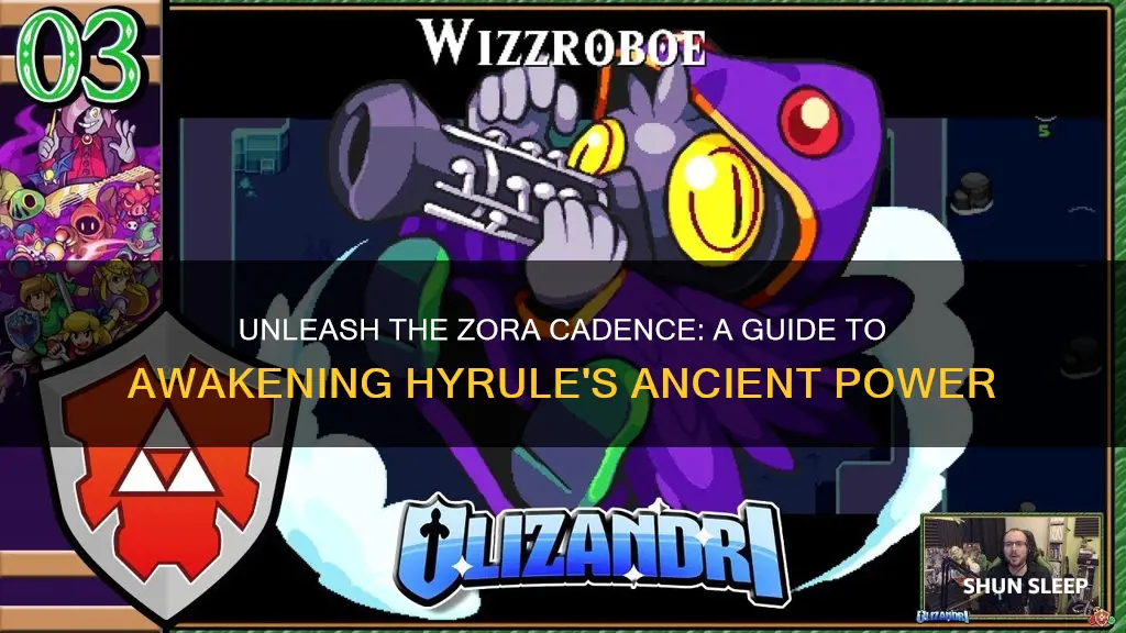 how to wake up the sleeping zora cadence of hyruke