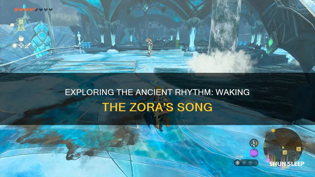 how to wake up the sleeping zora cadence of hyruke