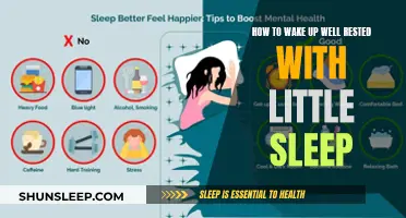 Wake Up Refreshed: Maximize Your Sleep Quality