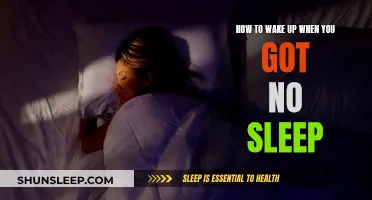 Waking Up After a Sleepless Night: Strategies for Survival