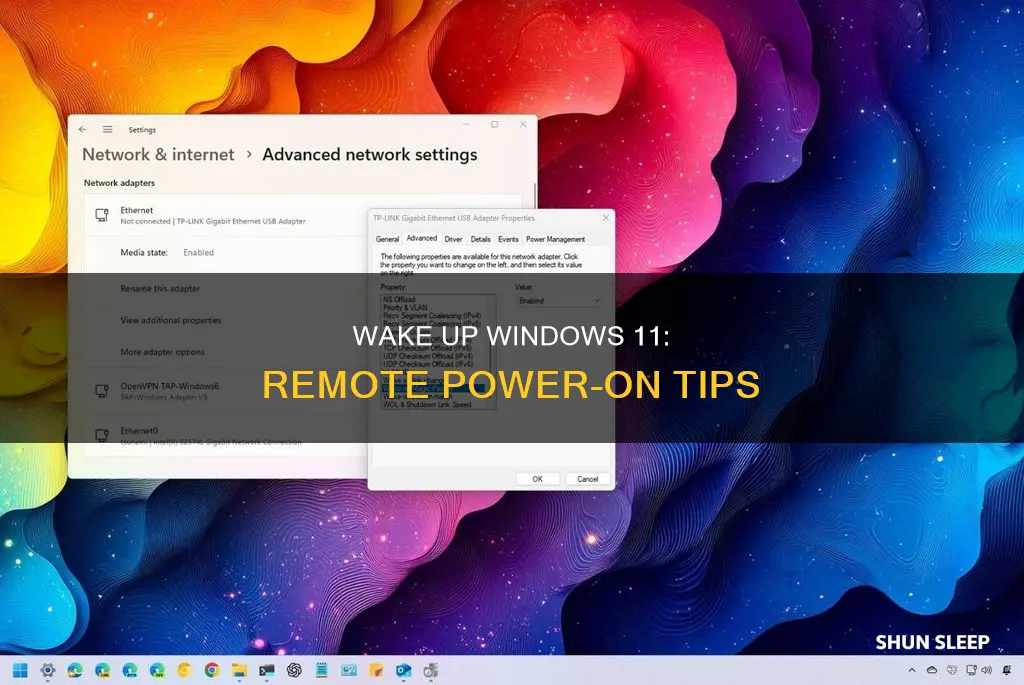 how to wake up windows 11 from sleep remotely