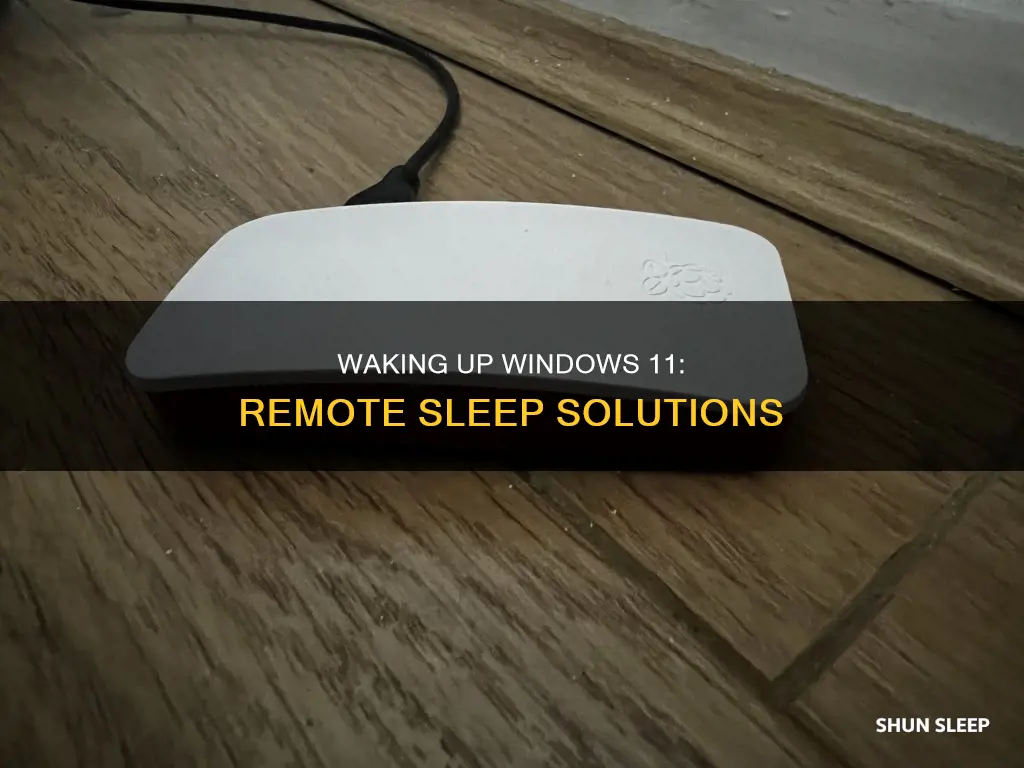 how to wake up windows 11 from sleep remotely