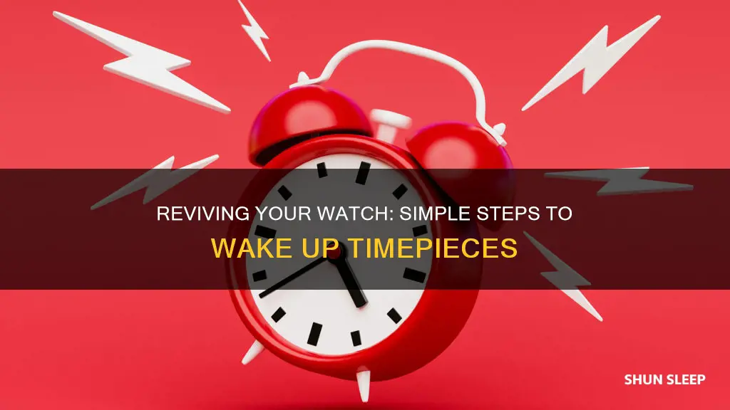 how to wake up your sleeping watch