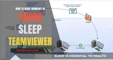 Wake Windows 10 from Sleep: TeamViewer Guide