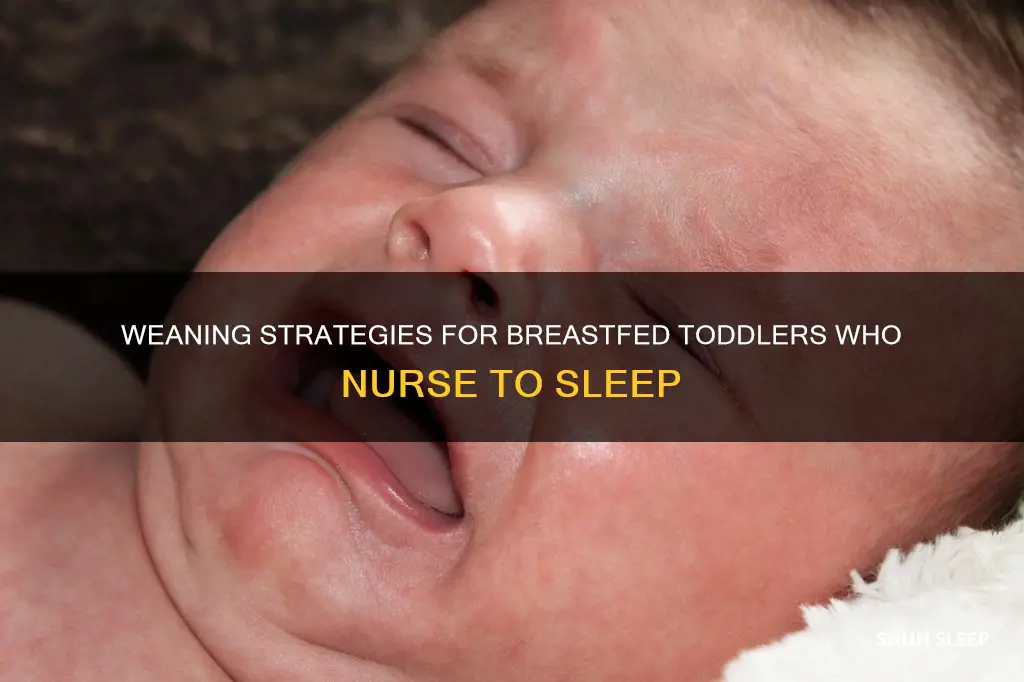 how to wean 2 year old from breastfeeding to sleep