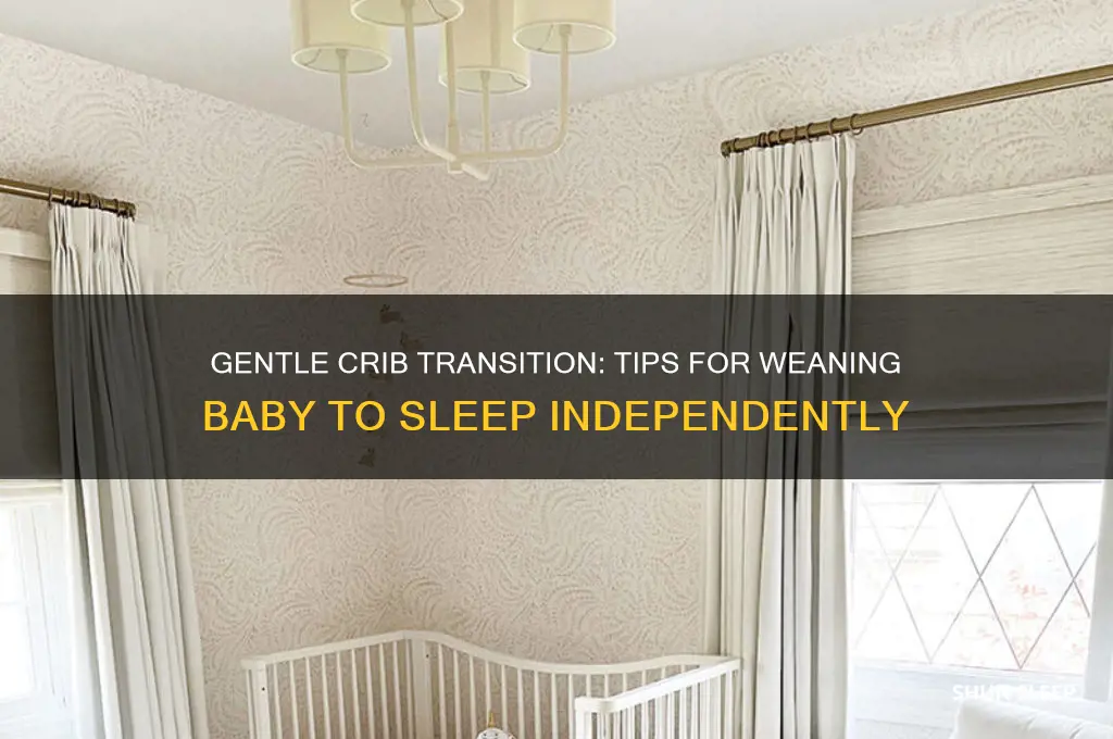 how to wean baby to sleep in crib