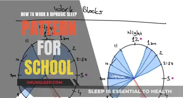 Biphasic Sleep for Students: Maximizing Productivity and Energy