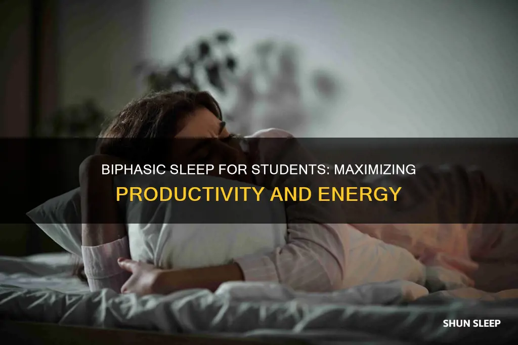 how to work a biphasic sleep pattern for school