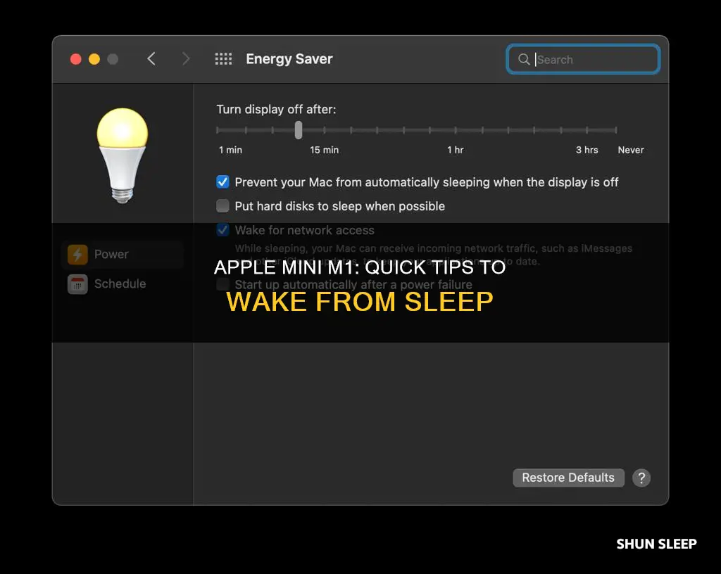 how wake apple mini m1 from sleep