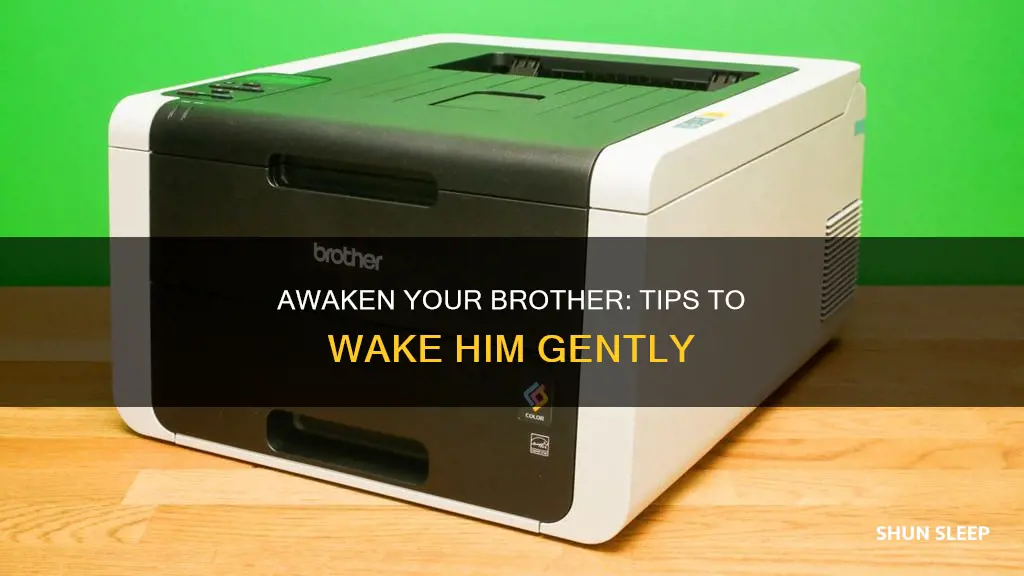 how wake brother hl3170 from sleep