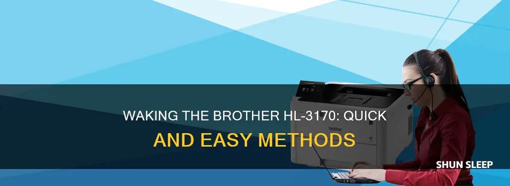 how wake brother hl3170 from sleep