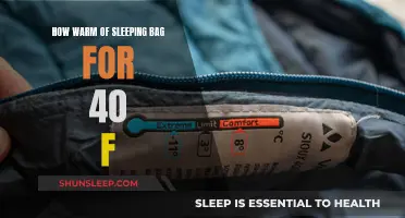 Stay Cozy: Picking the Right Sleeping Bag for 40°F