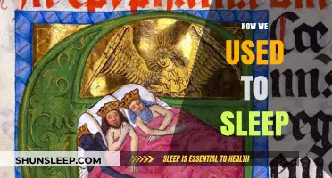 The Evolution of Sleep: A Historical Perspective