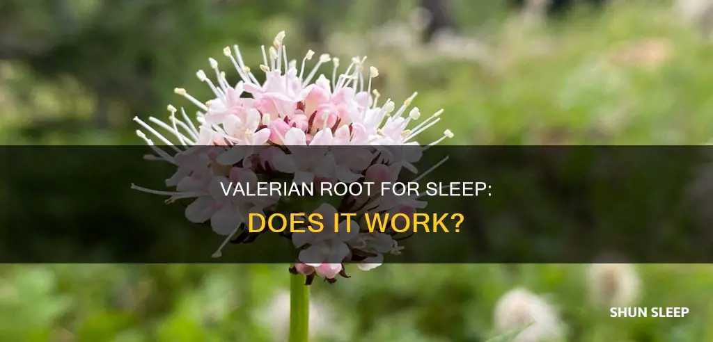 how well does valerian root work for sleep