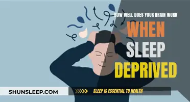 Sleep Deprivation: Brain Function and Performance Impact