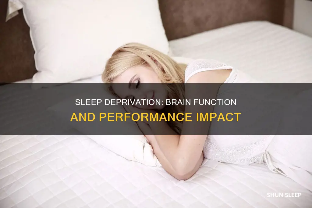 how well does your brain work when sleep deprived