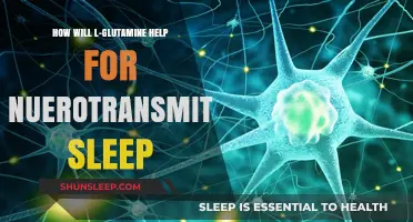 L-Glutamine's Role in Enhancing Neurotransmitter Balance for Better Sleep