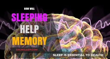Sleep's Power: Enhancing Memory Retention and Cognitive Function Overnight