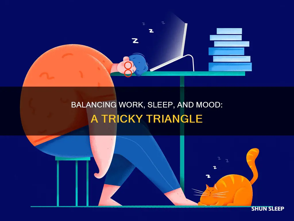 how work and sleep cycles impact mood