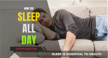 Sleep All Day: Mastering the Art of Slumber