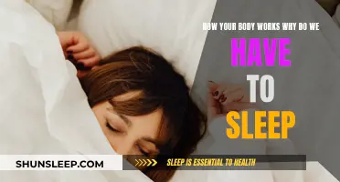 The Body's Need for Sleep: Understanding Our Biology