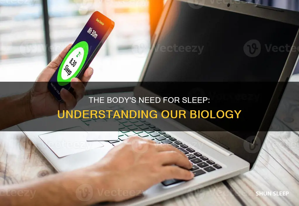 how your body works why do we have to sleep
