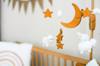 importance sleep