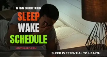 Disrupting Sleep-Wake Cycles: One Day's Impact