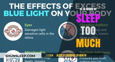 Exploring the Effects of Excessive Sleep: Is 14 Hours Too Much?