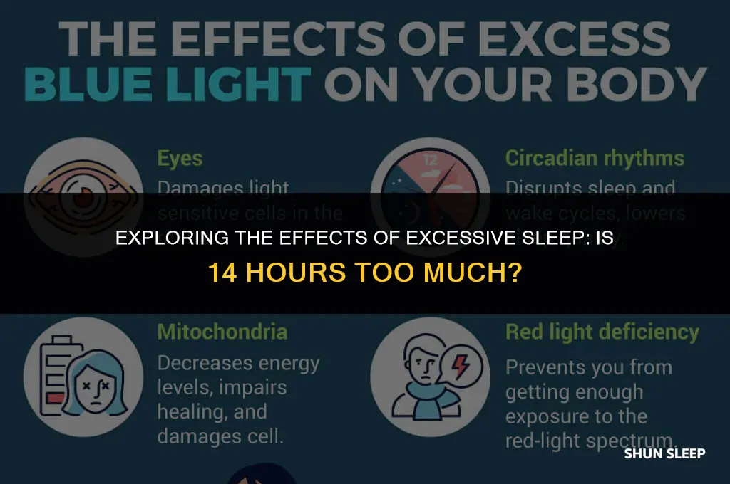 is 14 hours of sleep too much
