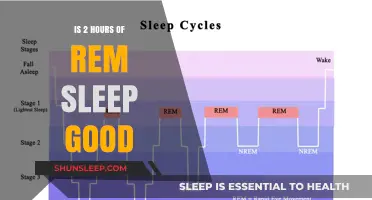 Unlocking the Power of Dreams: Is 2 Hours of REM Sleep Enough?