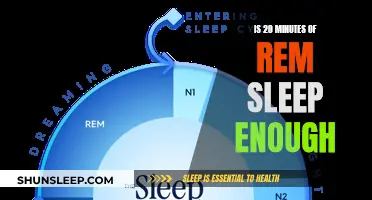 REM Sleep: Is Brief Enough for Health?