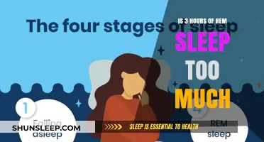 Decoding Dreams: Is 3 Hours of REM Sleep Too Much?