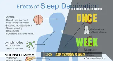 Weekly Sleep Deprivation: Can You Survive on Just 4 Hours?