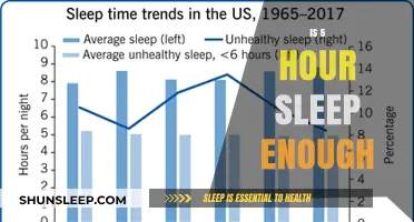 Unlocking Productivity: The Truth About Thriving on 5-Hour Sleep