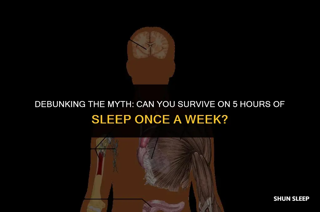 is 5 hours of sleep enough once a week