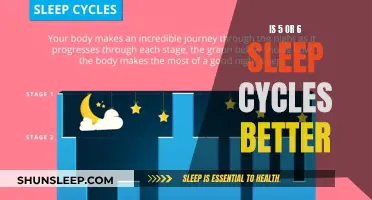 Sleep Cycles: Five or Six, Which is Better?