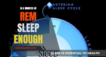 REM Sleep: Is Brief Enough for Restorative Sleep?