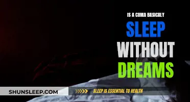 Coma vs Sleep: Are They Really So Different?