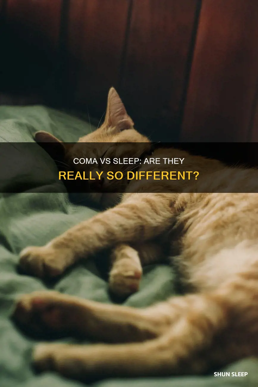 is a coma basicaly sleep without dreams